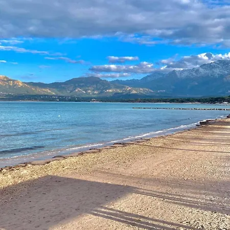 8 Les Carolines 2 * Calvi (Corsica)