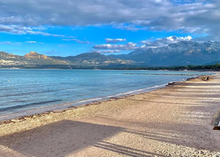 8 Les Carolines 2 * Calvi (Corsica)